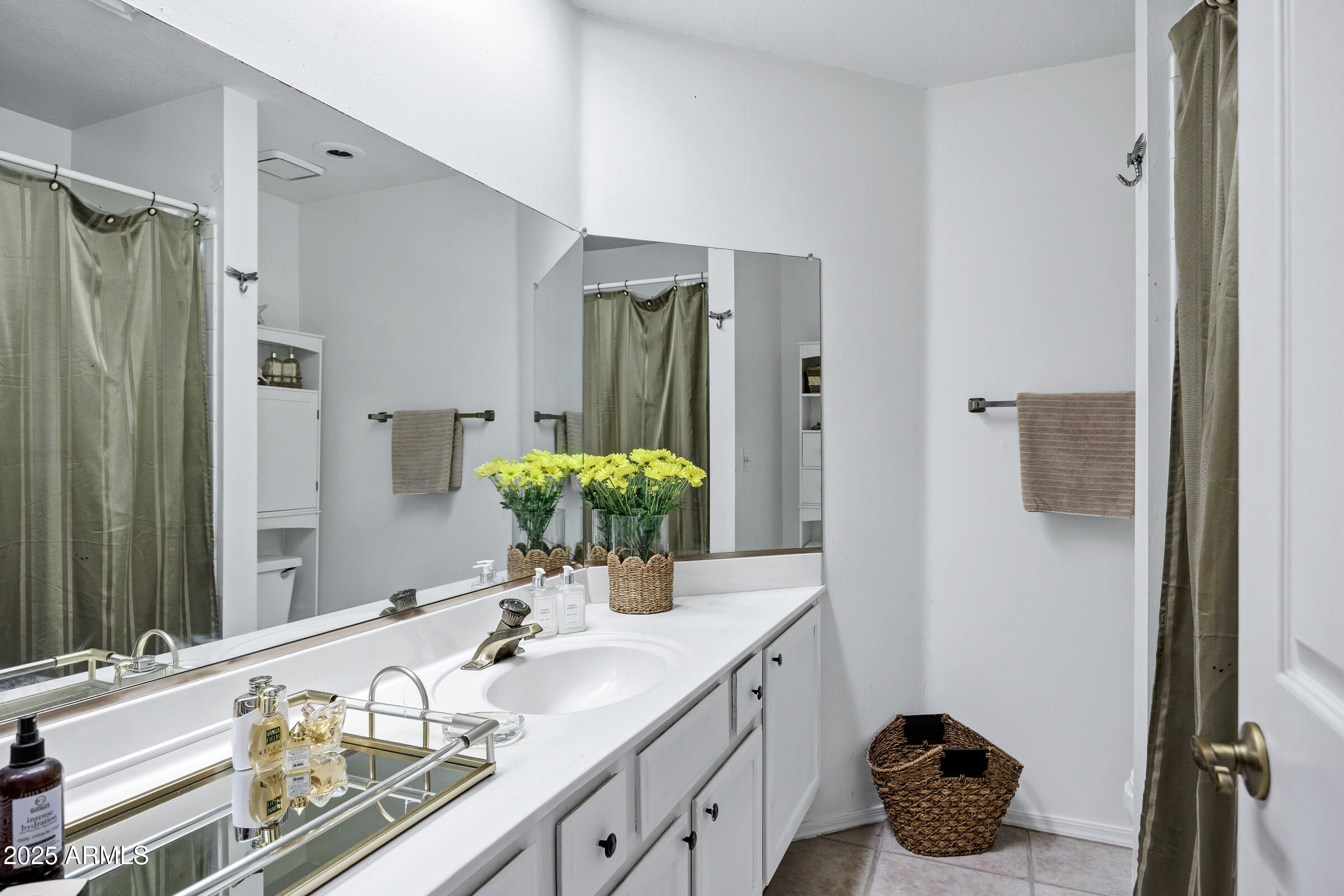 12244 South 45th Street Phoenix, AZ 85044 - Photo 10 of 19 Hall bathroom