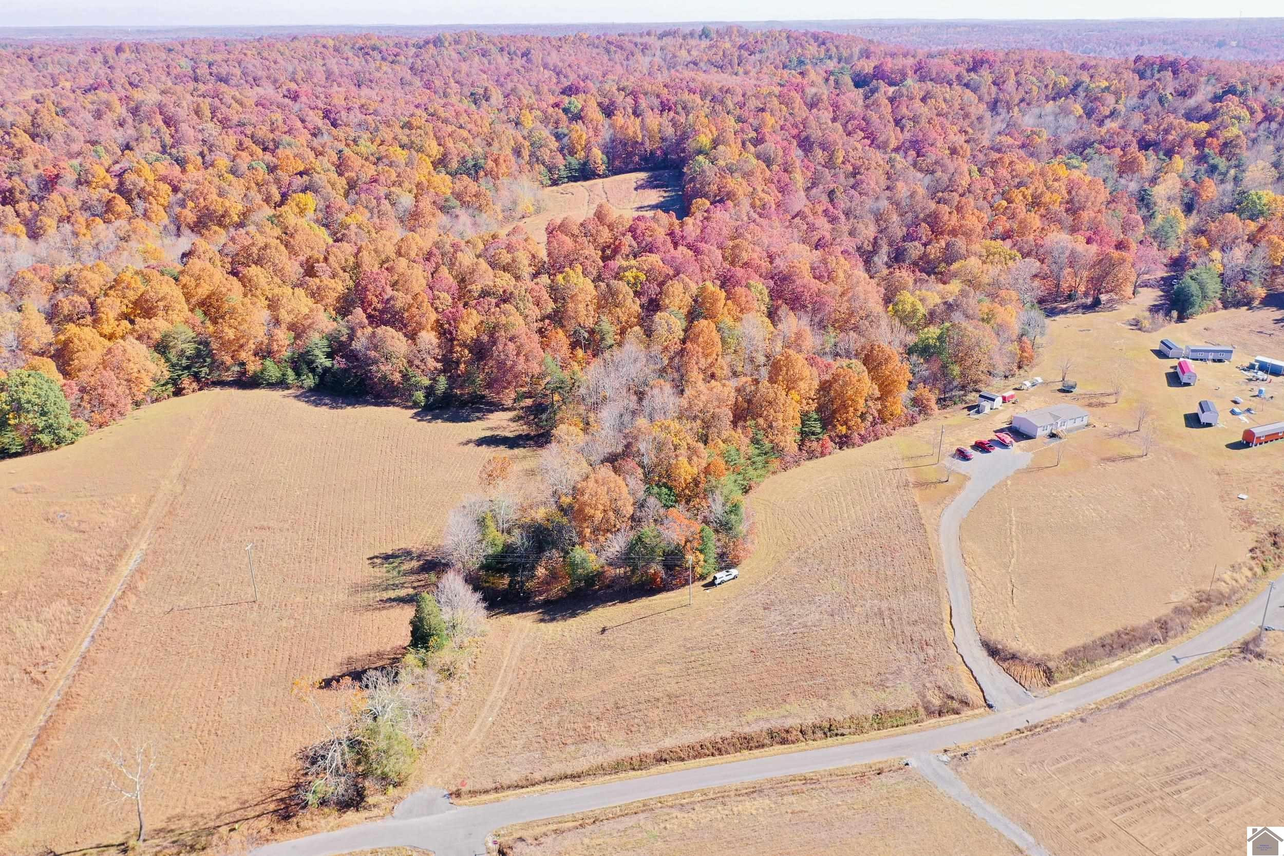 0 Princeton Olney Road, Unit TRACT 4PRINCETON FARMS Princeton, KY 42445 - Photo 1 of 1 Photo 1