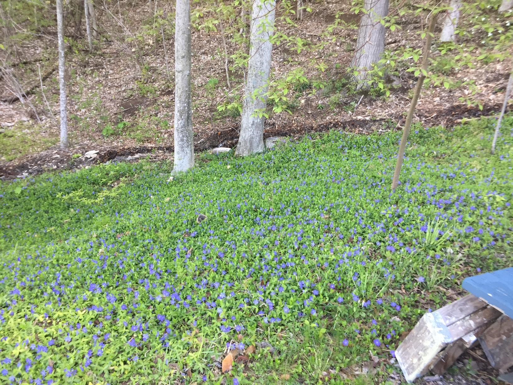 114 Root Road Charlotte, VT 05445 - Photo 48 of 52 Gallery Image 48