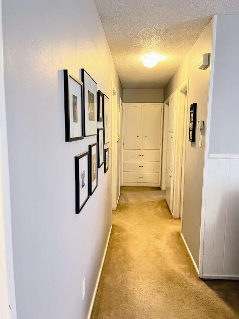 4813 53rd Street Lubbock, TX 79414 - Photo 9 of 21 4813 Hallway 1