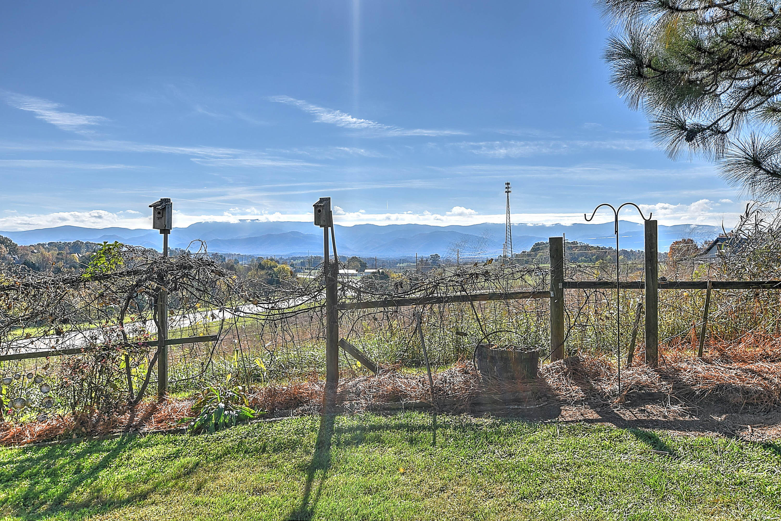 151 White Road Greeneville, TN 37745 - Photo 5 of 36 5