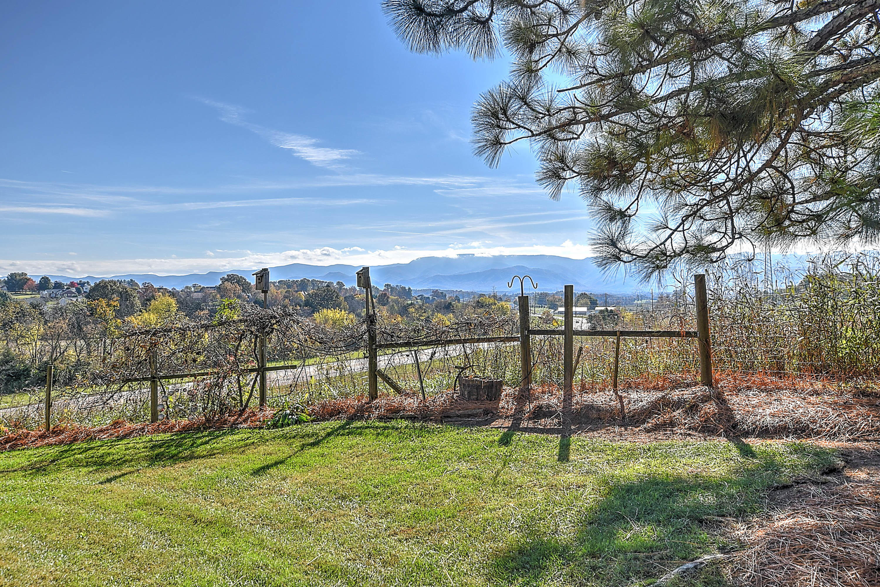 151 White Road Greeneville, TN 37745 - Photo 6 of 36 6