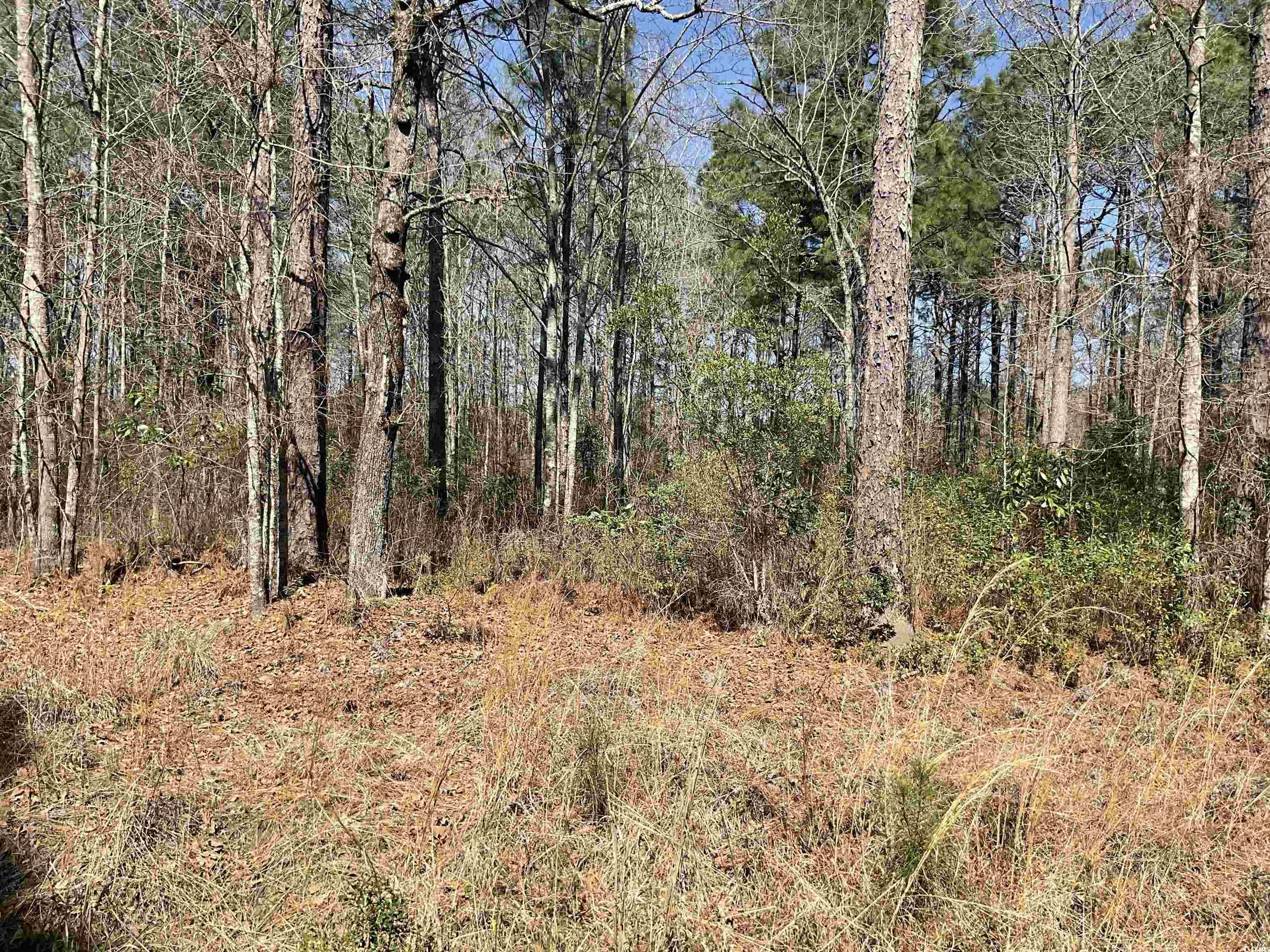 Tbd Florence Lane Kingstree, SC 29556 - Photo 1 of 5