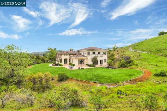 a view of a big garden with plants and large trees
