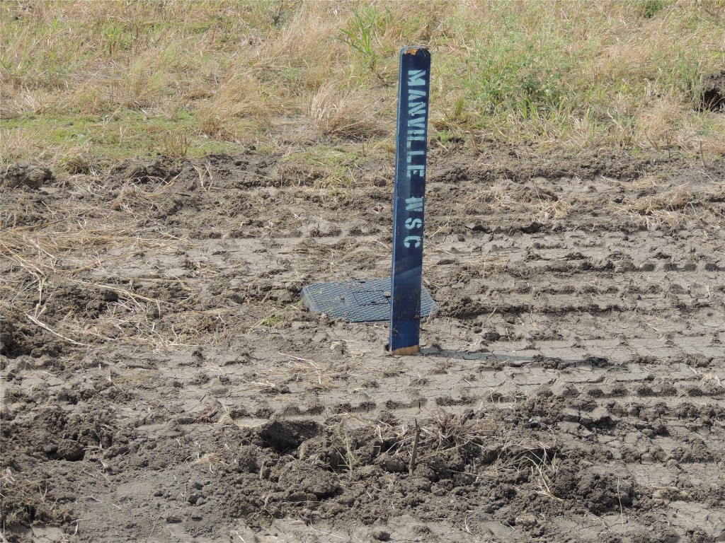 3402 County Road 405 Taylor, TX 76574 - Photo 2 of 23 a sign board with a tree