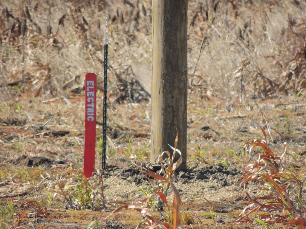3402 County Road 405 Taylor, TX 76574 - Photo 3 of 23 a sign that is on the side of a road