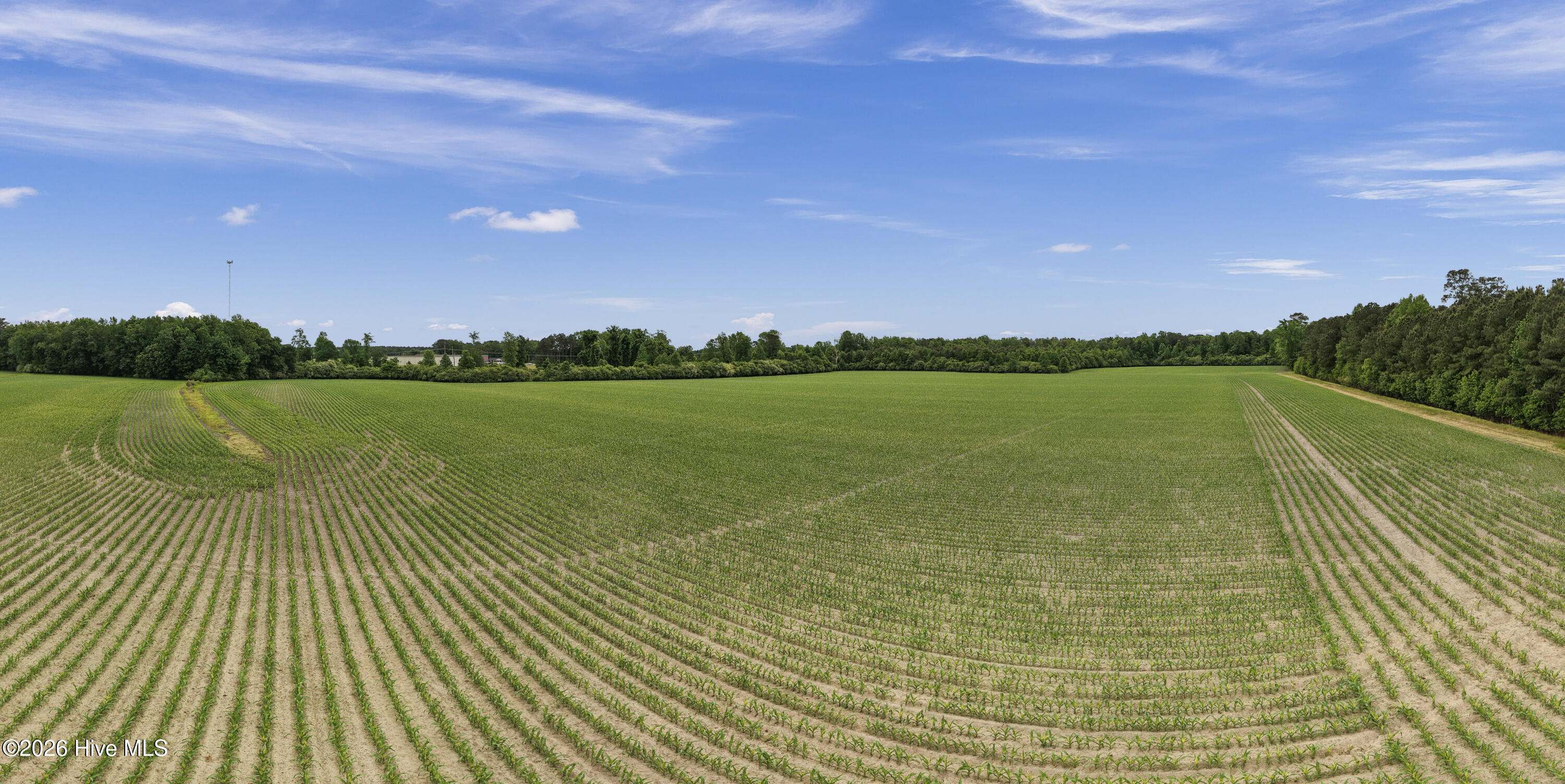 34.4-acres High School Road Teachey, NC 28464 - Photo 14 of 23 15-001_0050_pano