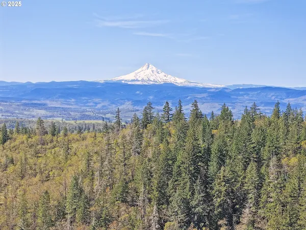 $349,900 | 33 Acres Off Canyon Road, Lyle, WA 98635