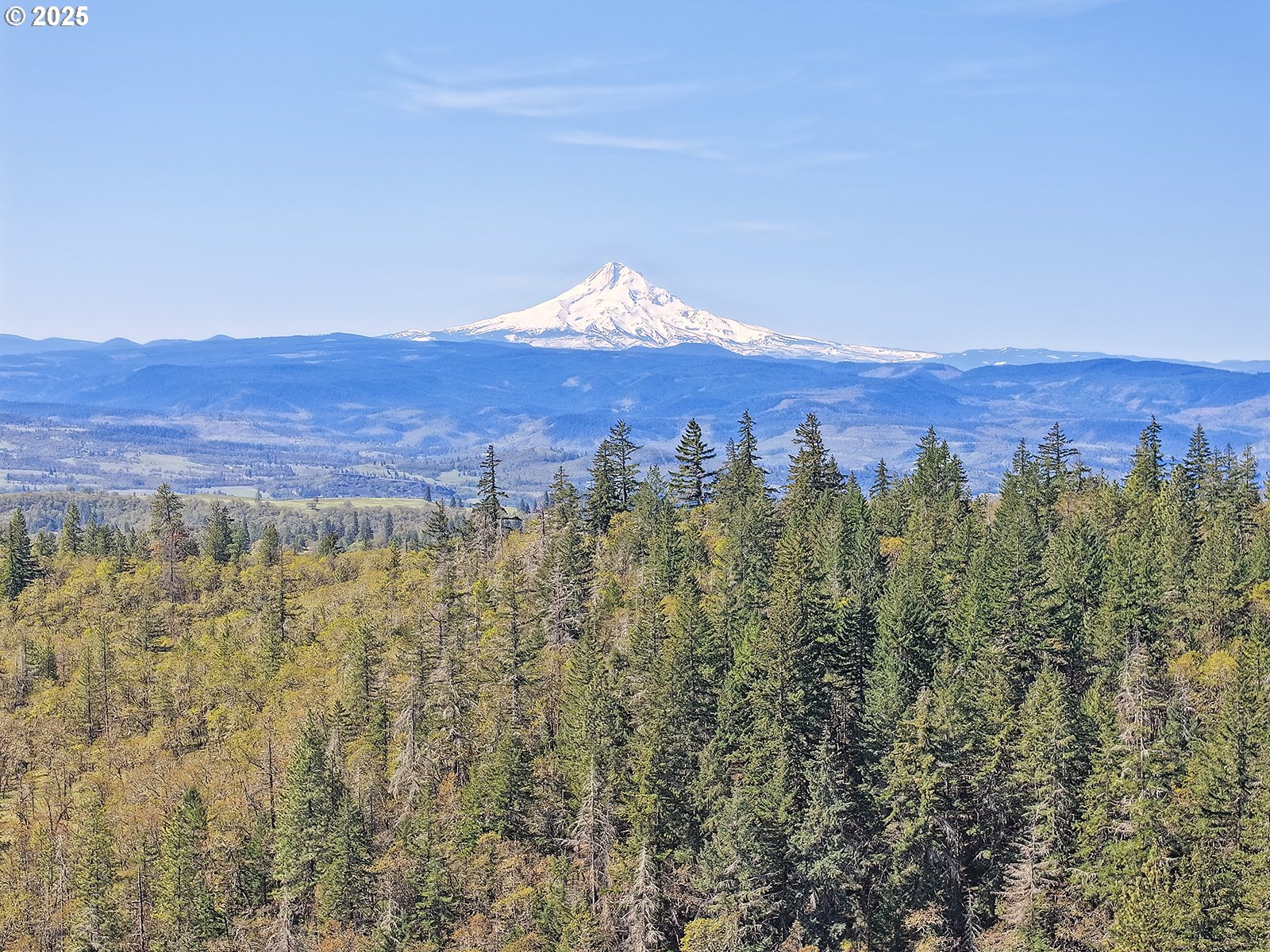 33 Acres Off Canyon Road Lyle, WA 98635 - Photo 1 of 30