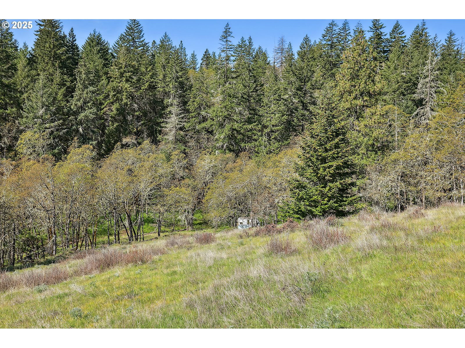 33 Acres Off Canyon Road Lyle, WA 98635 - Photo 11 of 30