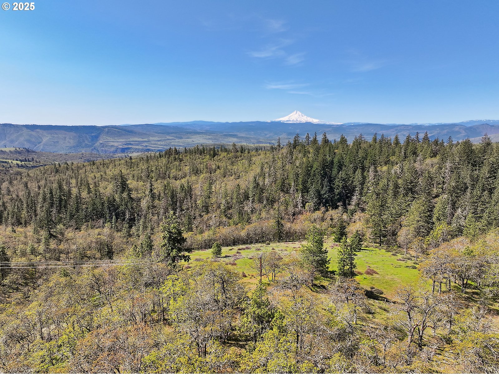 33 Acres Off Canyon Road Lyle, WA 98635 - Photo 17 of 30