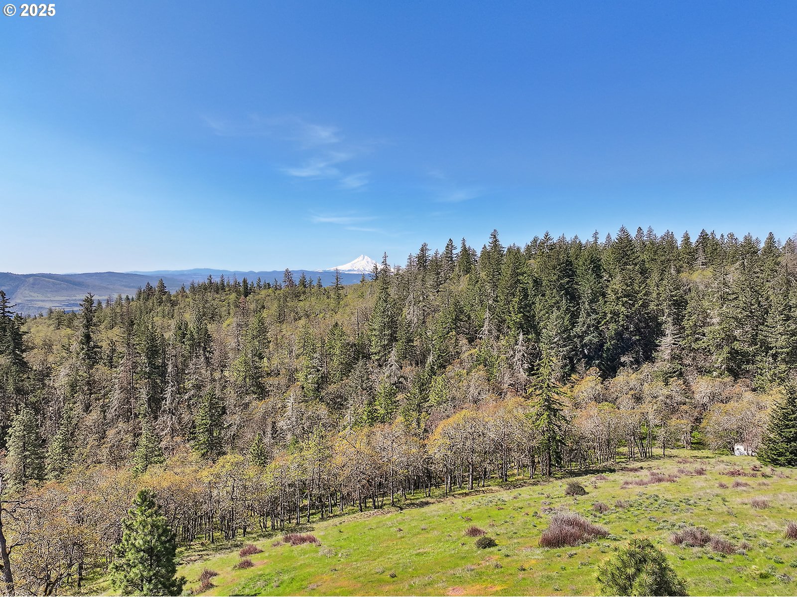 33 Acres Off Canyon Road Lyle, WA 98635 - Photo 18 of 30