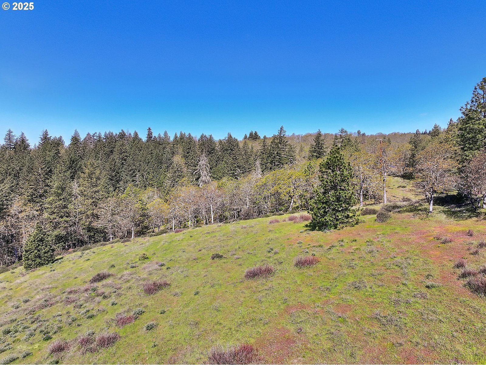 33 Acres Off Canyon Road Lyle, WA 98635 - Photo 19 of 30