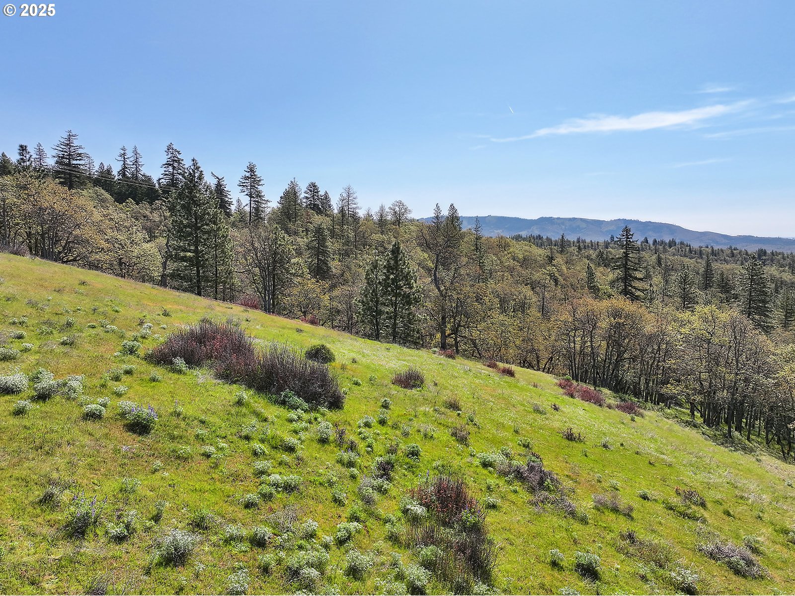 33 Acres Off Canyon Road Lyle, WA 98635 - Photo 20 of 30