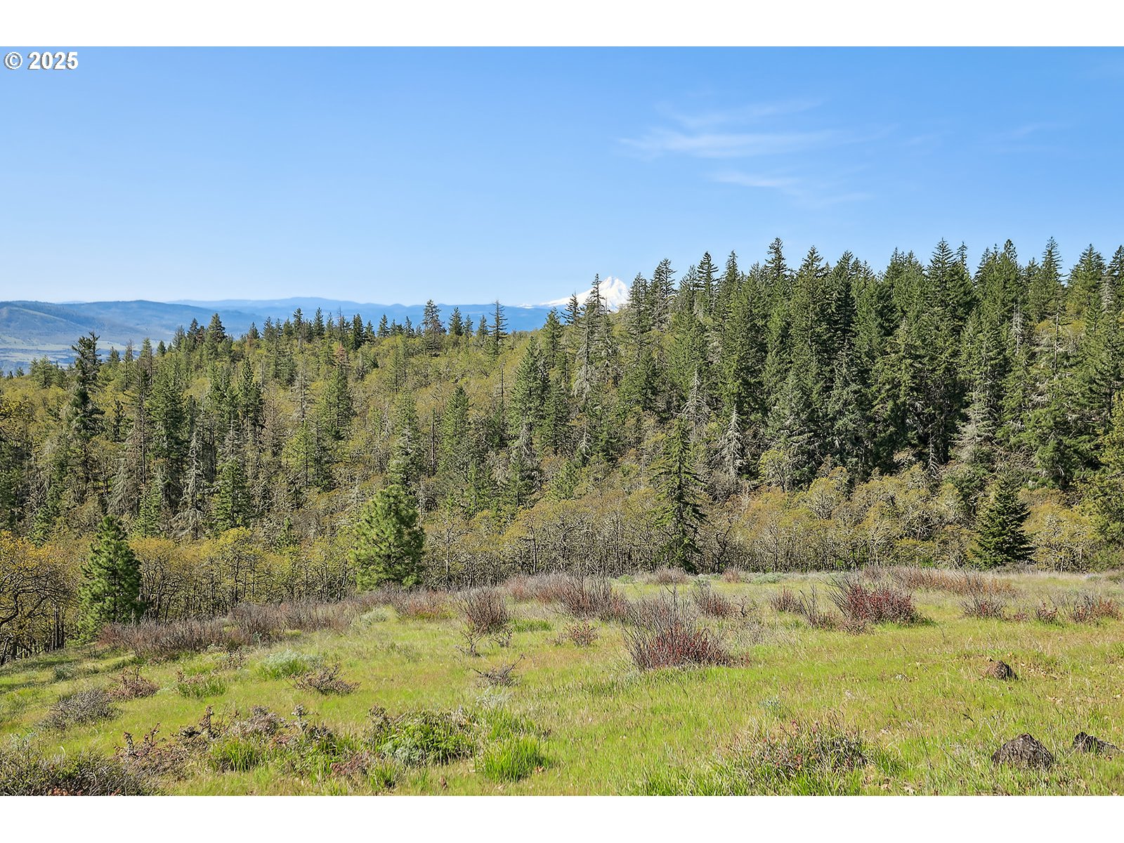 33 Acres Off Canyon Road Lyle, WA 98635 - Photo 2 of 30