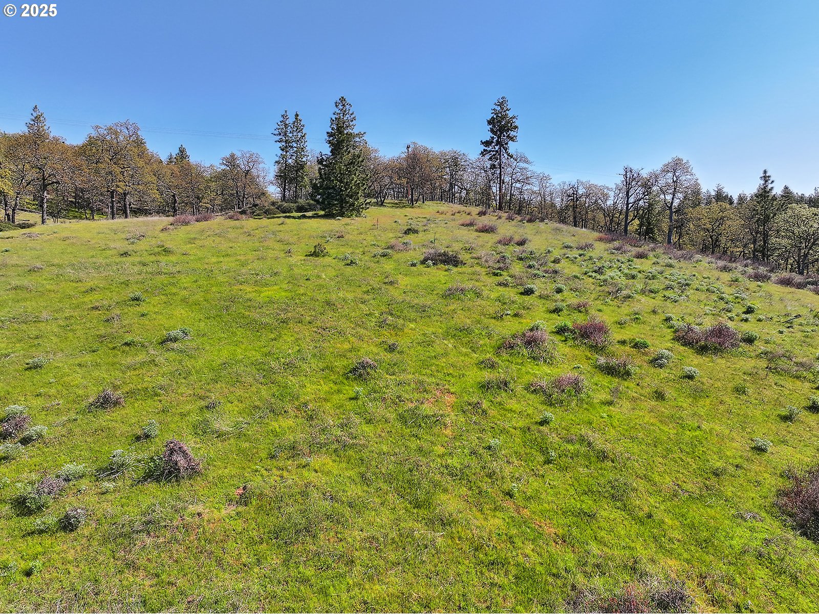 33 Acres Off Canyon Road Lyle, WA 98635 - Photo 21 of 30
