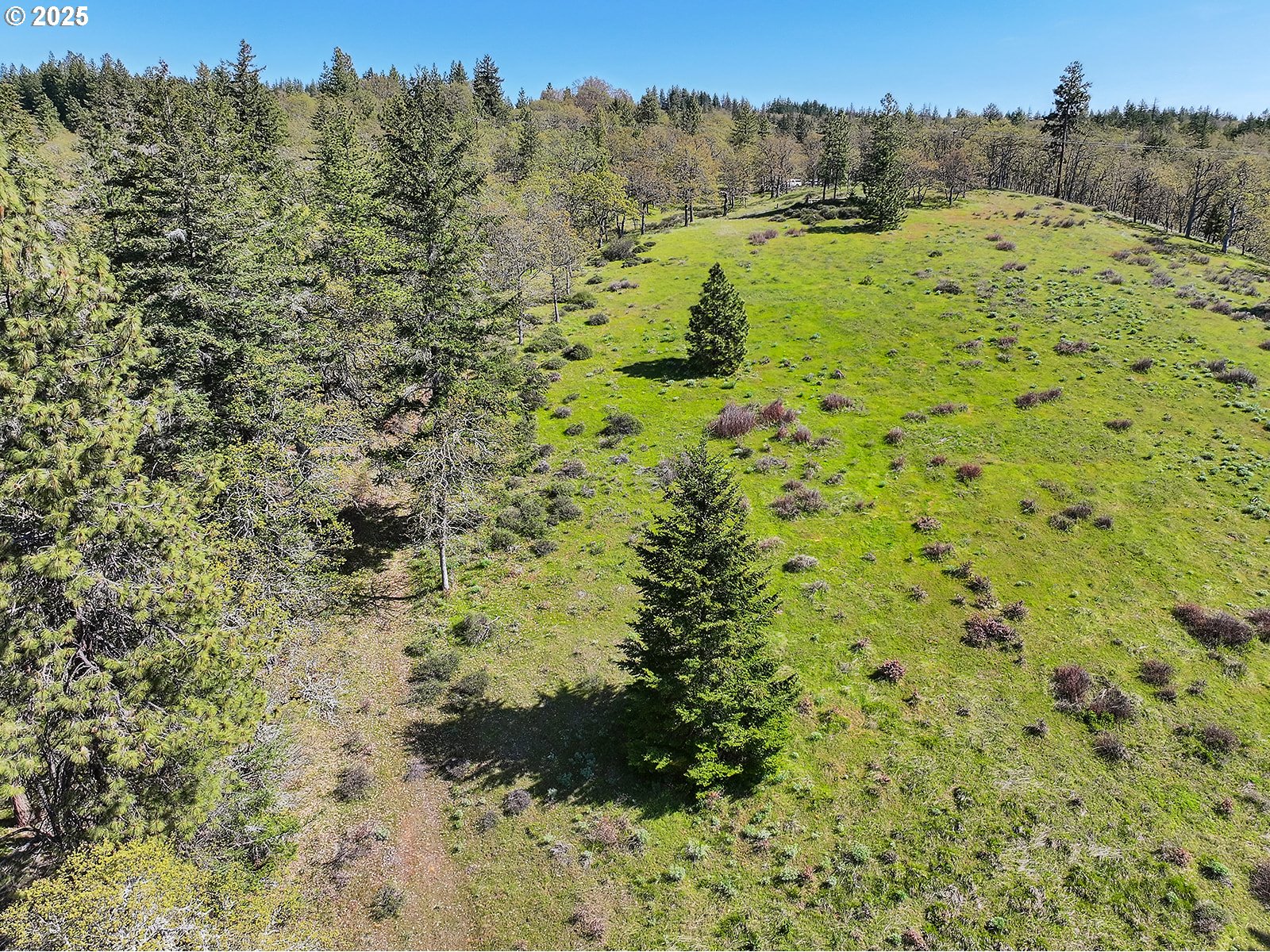 33 Acres Off Canyon Road Lyle, WA 98635 - Photo 22 of 30