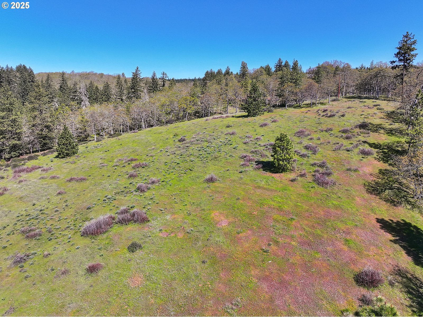 33 Acres Off Canyon Road Lyle, WA 98635 - Photo 23 of 30