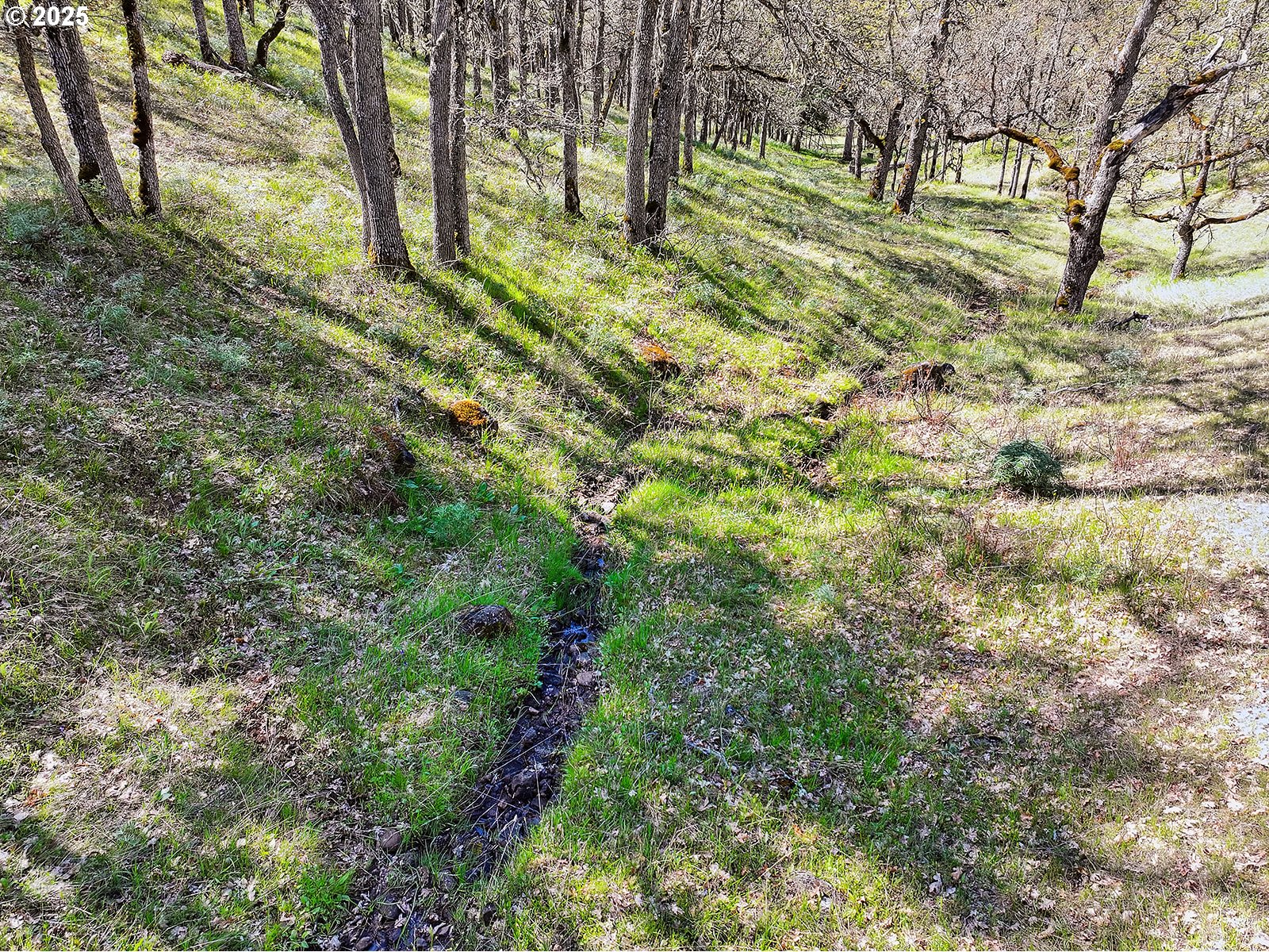 33 Acres Off Canyon Road Lyle, WA 98635 - Photo 25 of 30