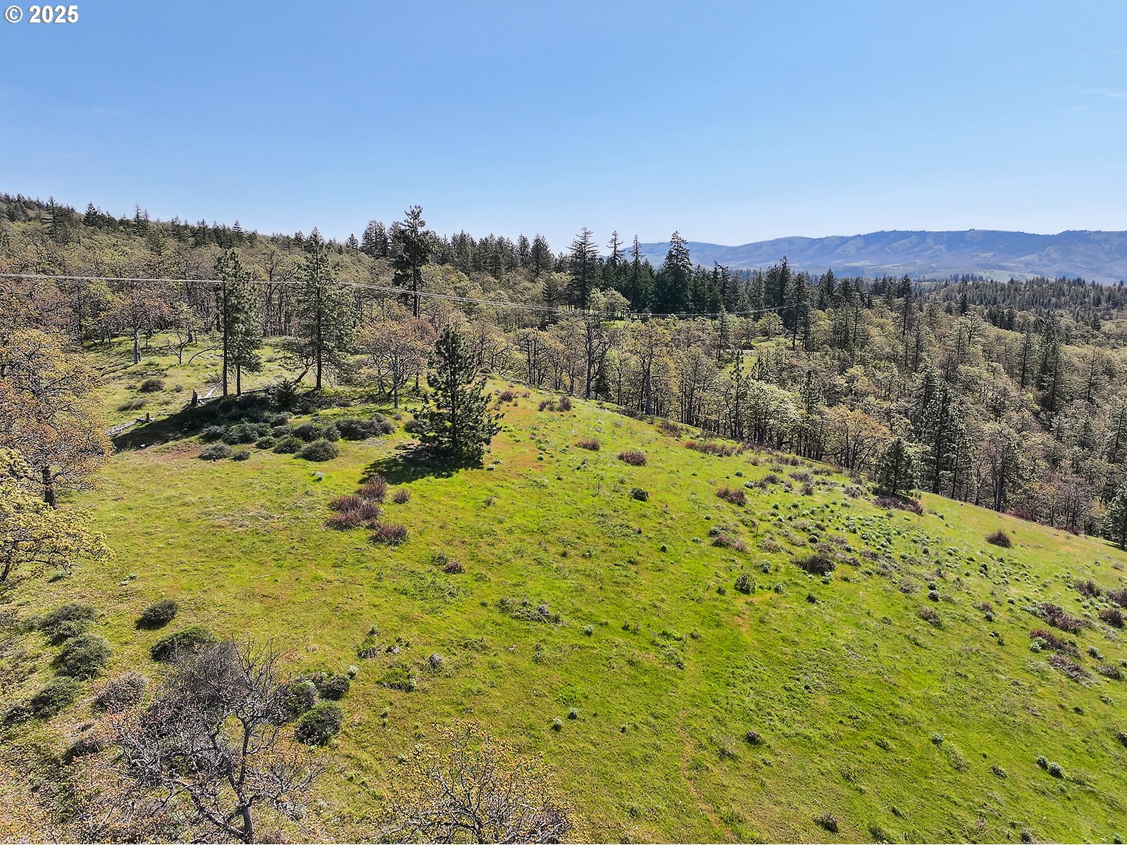 33 Acres Off Canyon Road Lyle, WA 98635 - Photo 26 of 30
