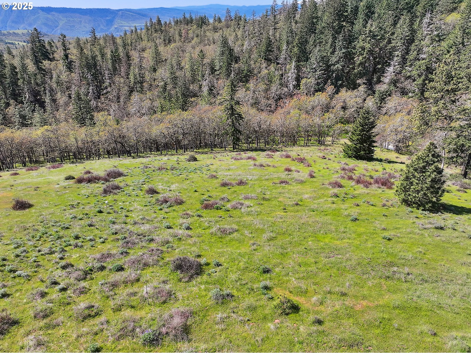 33 Acres Off Canyon Road Lyle, WA 98635 - Photo 27 of 30