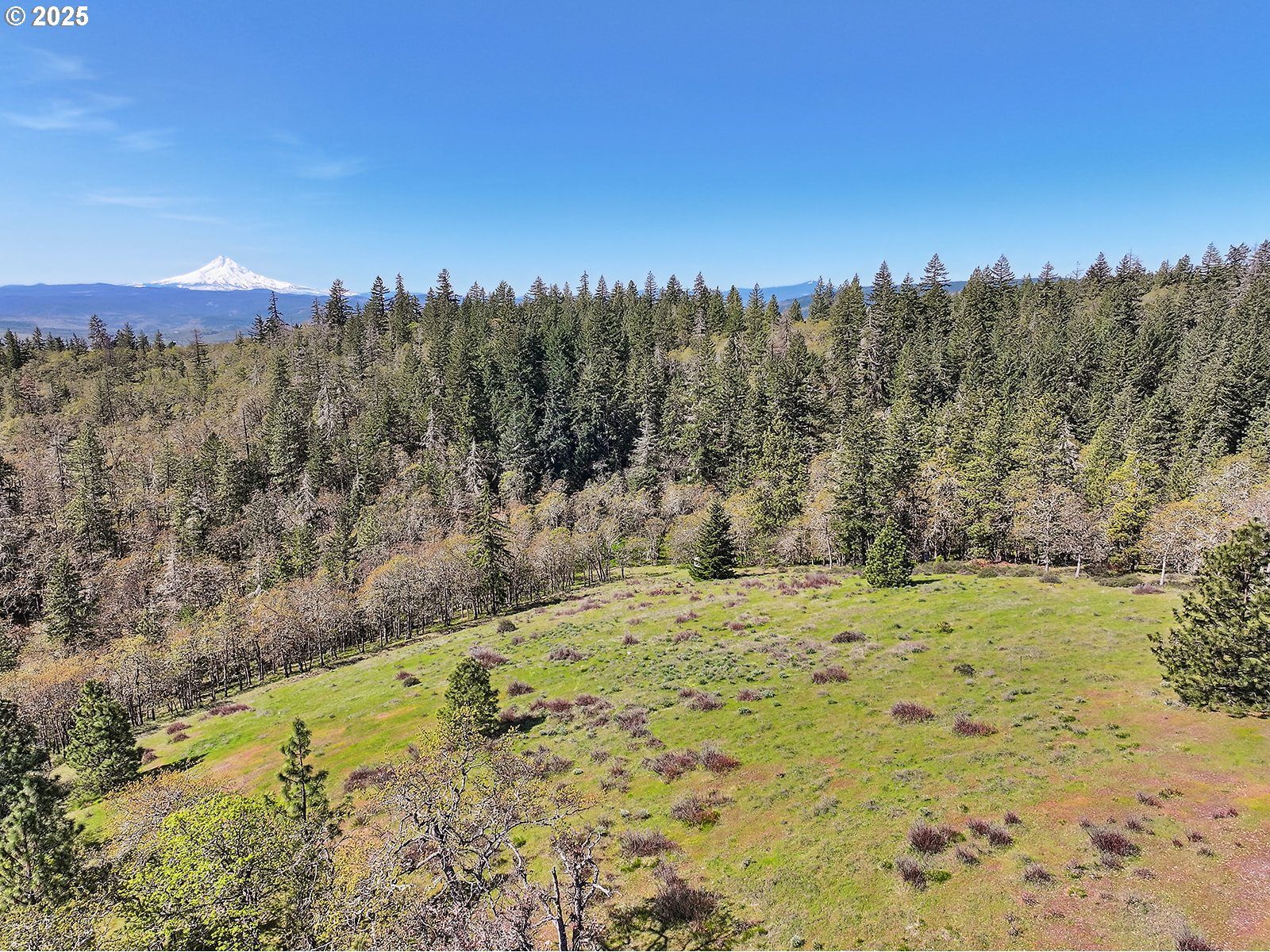 33 Acres Off Canyon Road Lyle, WA 98635 - Photo 28 of 30