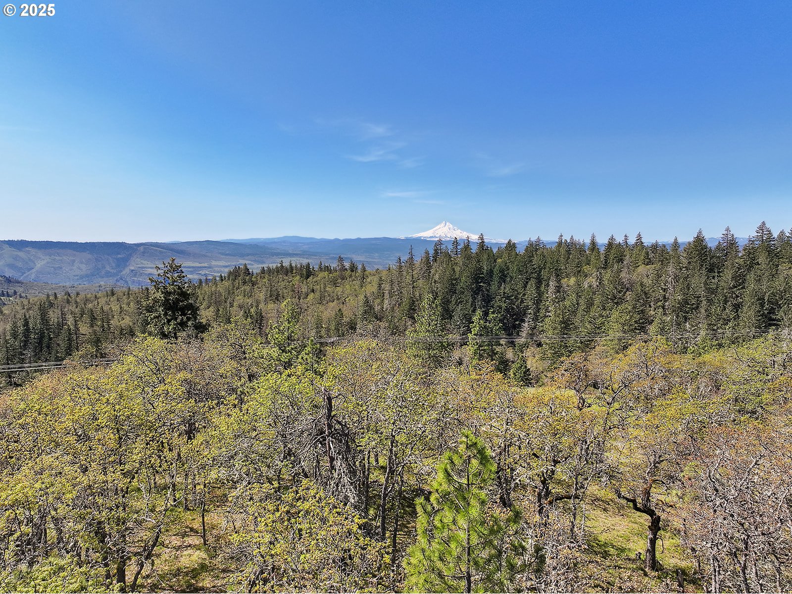 33 Acres Off Canyon Road Lyle, WA 98635 - Photo 29 of 30