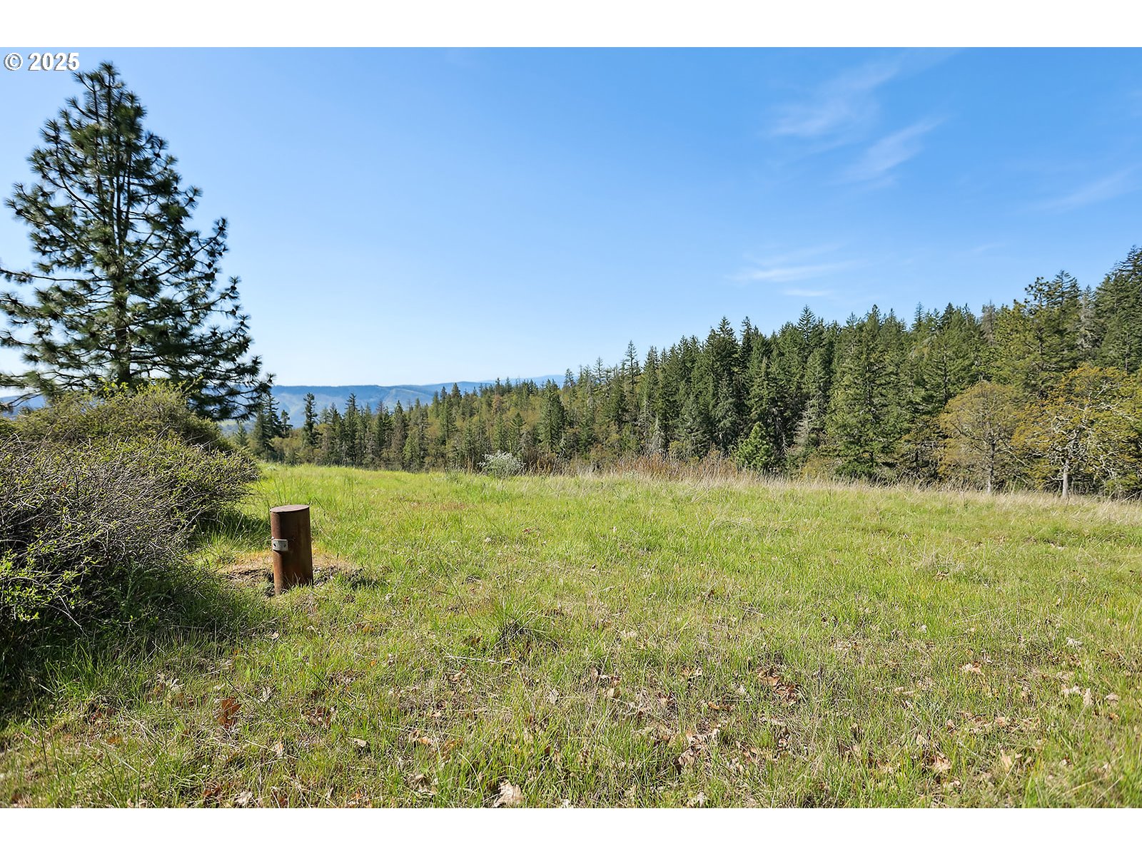 33 Acres Off Canyon Road Lyle, WA 98635 - Photo 3 of 30