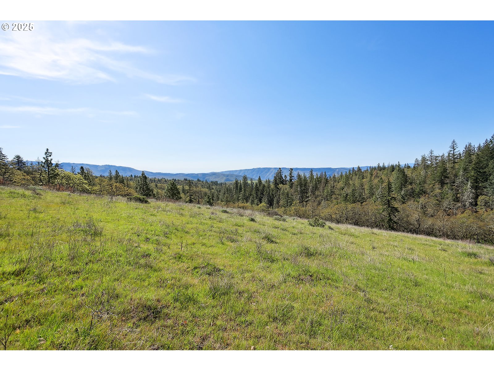 33 Acres Off Canyon Road Lyle, WA 98635 - Photo 4 of 30