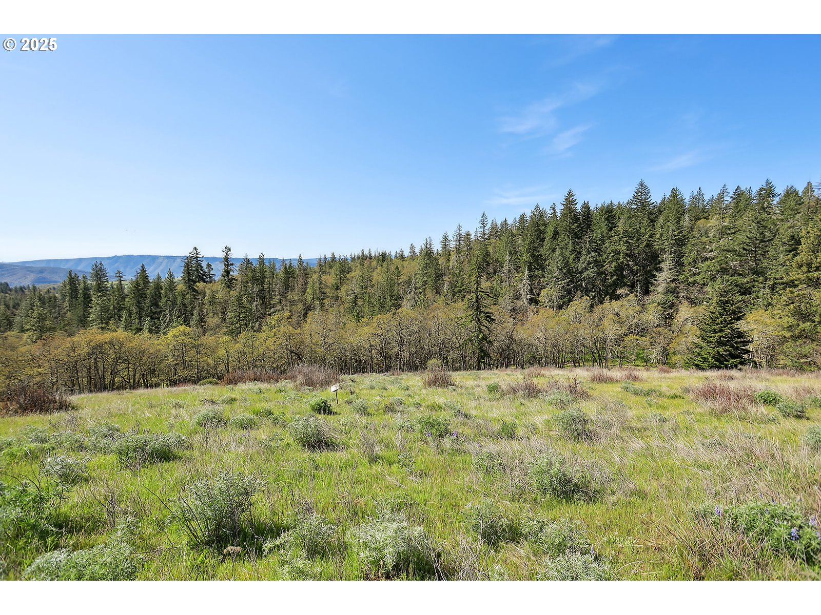 33 Acres Off Canyon Road Lyle, WA 98635 - Photo 5 of 30
