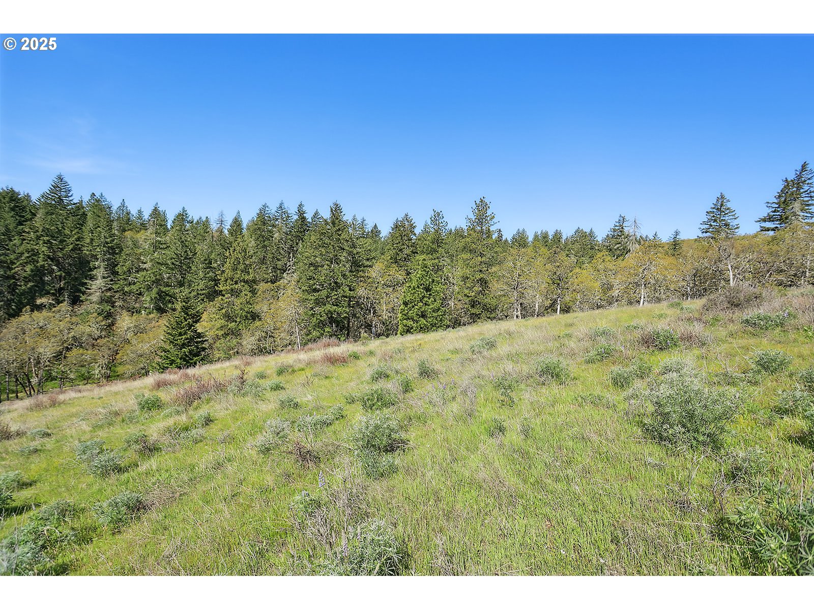 33 Acres Off Canyon Road Lyle, WA 98635 - Photo 6 of 30