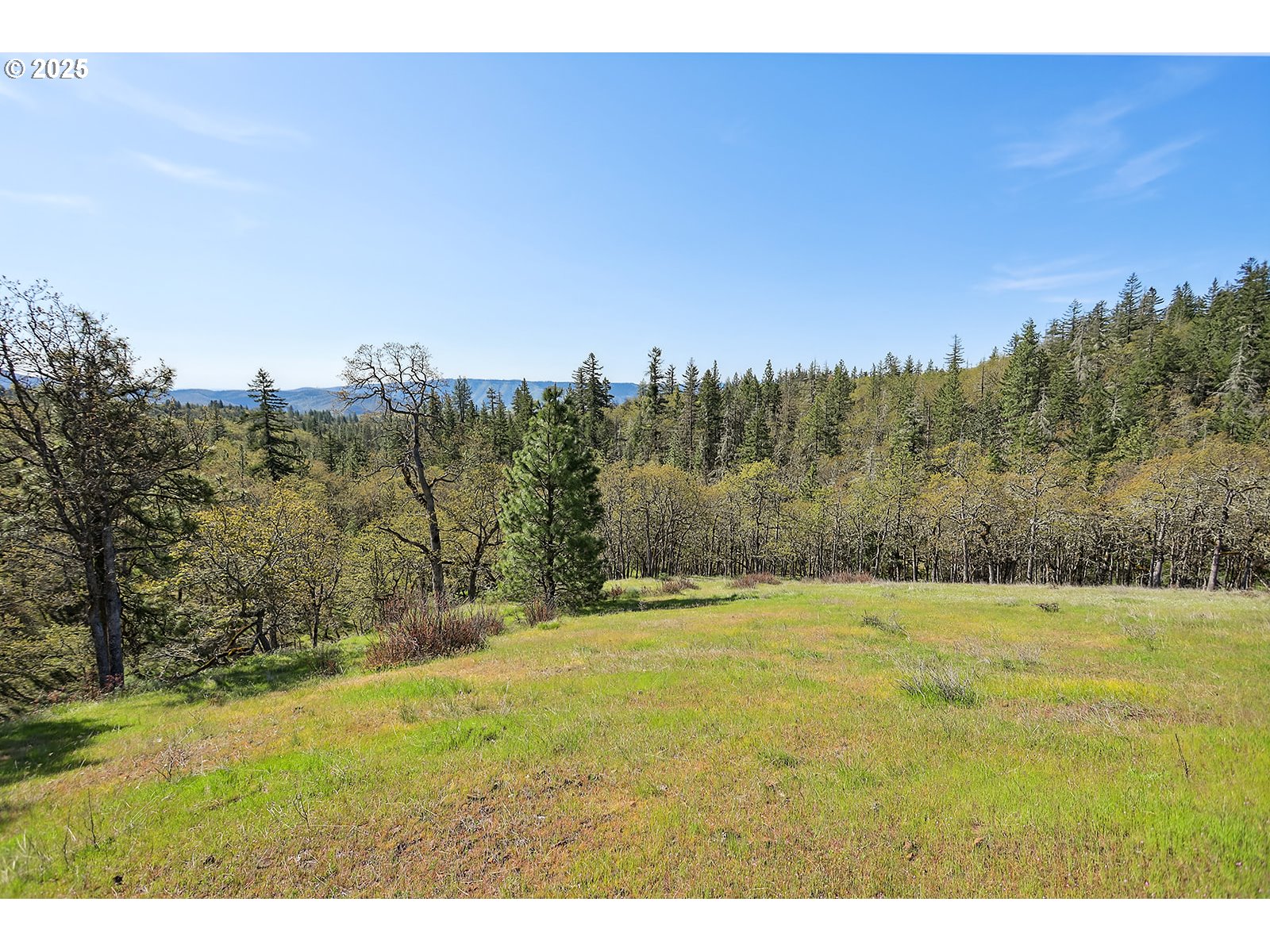 33 Acres Off Canyon Road Lyle, WA 98635 - Photo 7 of 30