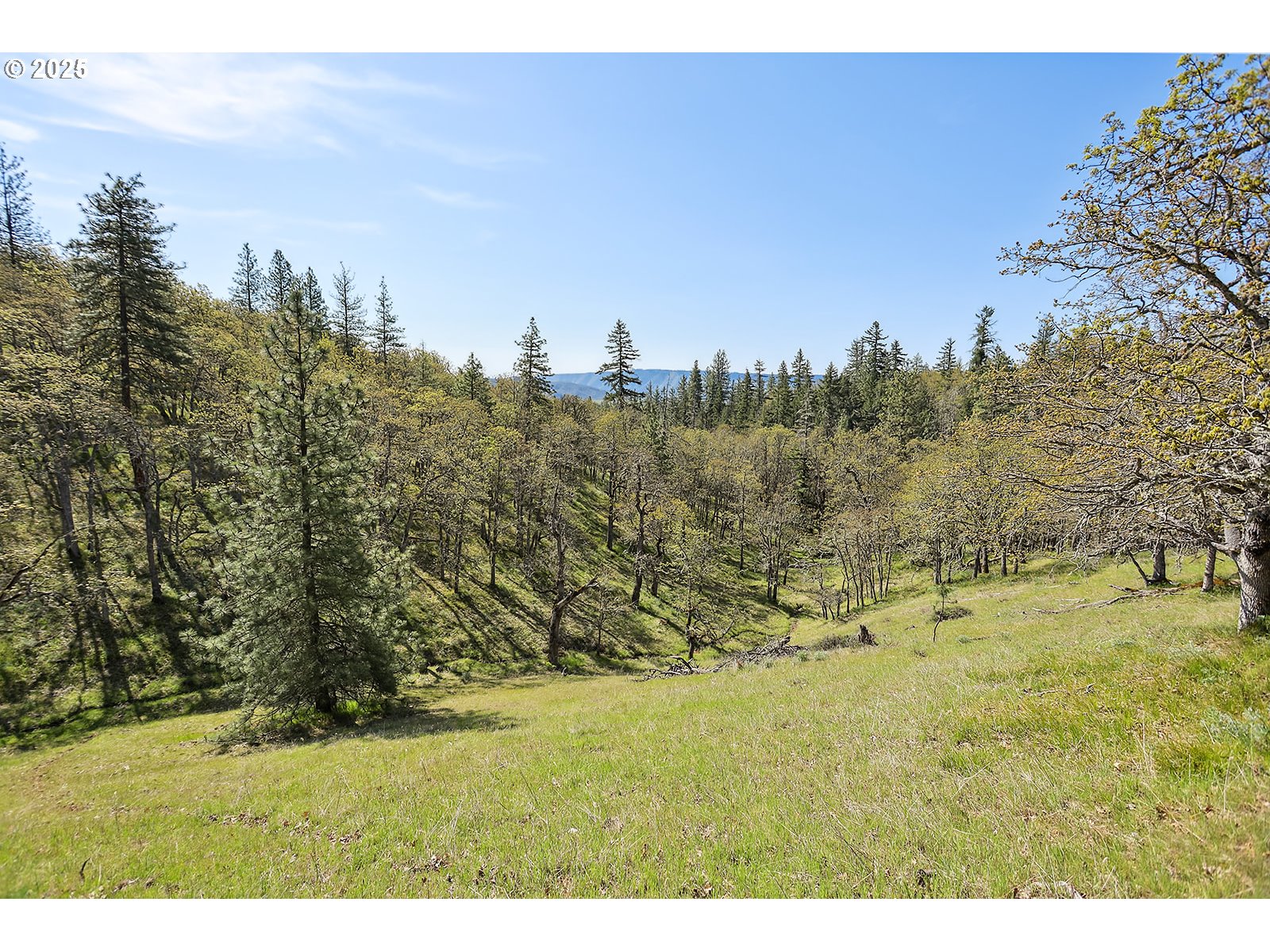 33 Acres Off Canyon Road Lyle, WA 98635 - Photo 8 of 30
