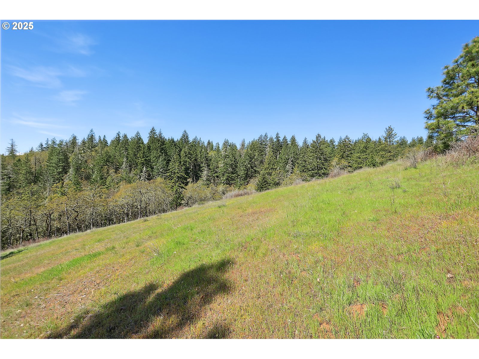 33 Acres Off Canyon Road Lyle, WA 98635 - Photo 9 of 30