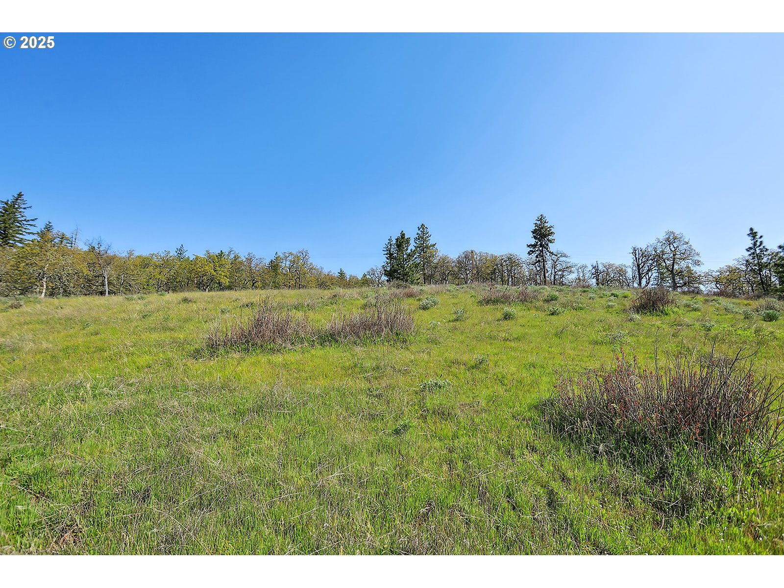 33 Acres Off Canyon Road Lyle, WA 98635 - Photo 10 of 30