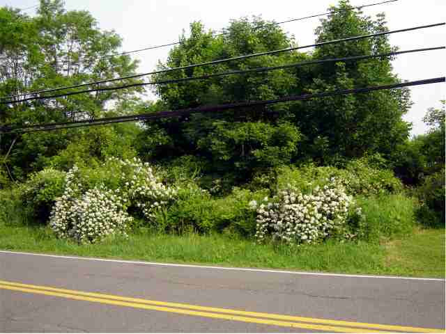 8635 Maple Hill Road Castleton-on-Hudson, NY 12033 - Photo 1 of 4 Photo 1
