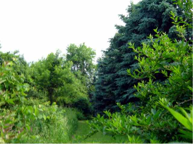 8635 Maple Hill Road Castleton-on-Hudson, NY 12033 - Photo 2 of 4 Photo 2