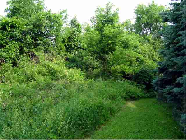 8635 Maple Hill Road Castleton-on-Hudson, NY 12033 - Photo 3 of 4 Photo 3