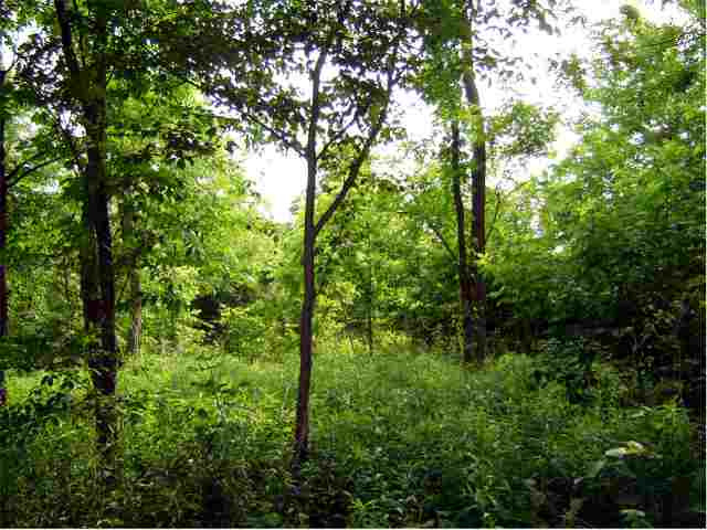 8635 Maple Hill Road Castleton-on-Hudson, NY 12033 - Photo 4 of 4 Photo 4