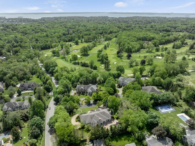 view of a lush green forest with trees and houses