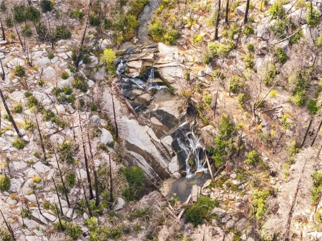 a view of a yard with trees in the background