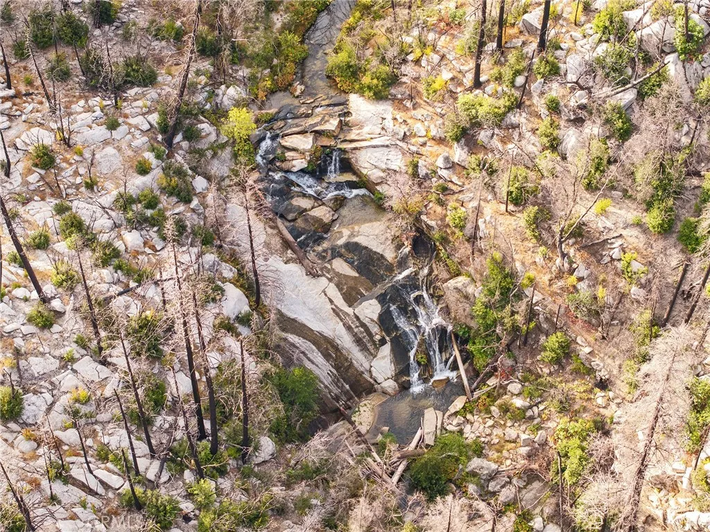 0 Gamble Road Berry Creek, CA 95916 - Photo 11 of 27 a close up of a tree