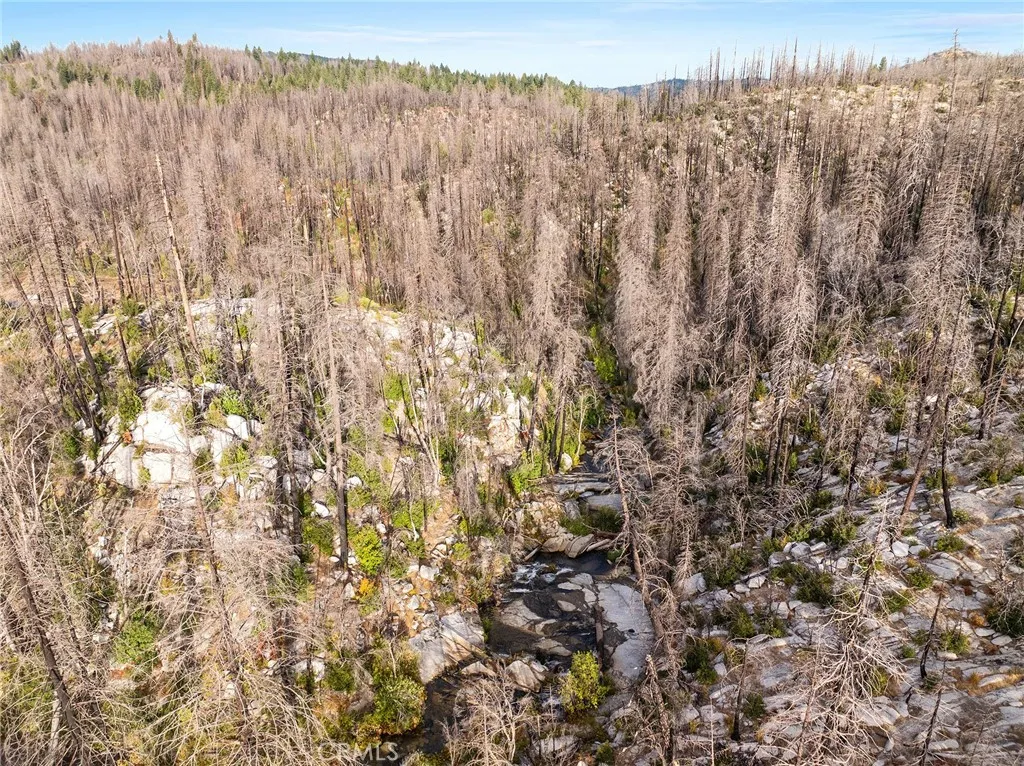 0 Gamble Road Berry Creek, CA 95916 - Photo 16 of 27 a view of a yard with trees in the background