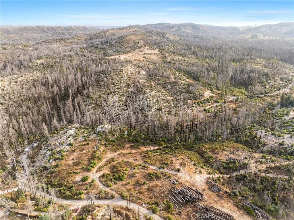 0 Gamble Road Berry Creek, CA 95916 - Photo 20 of 27 a view of a yard