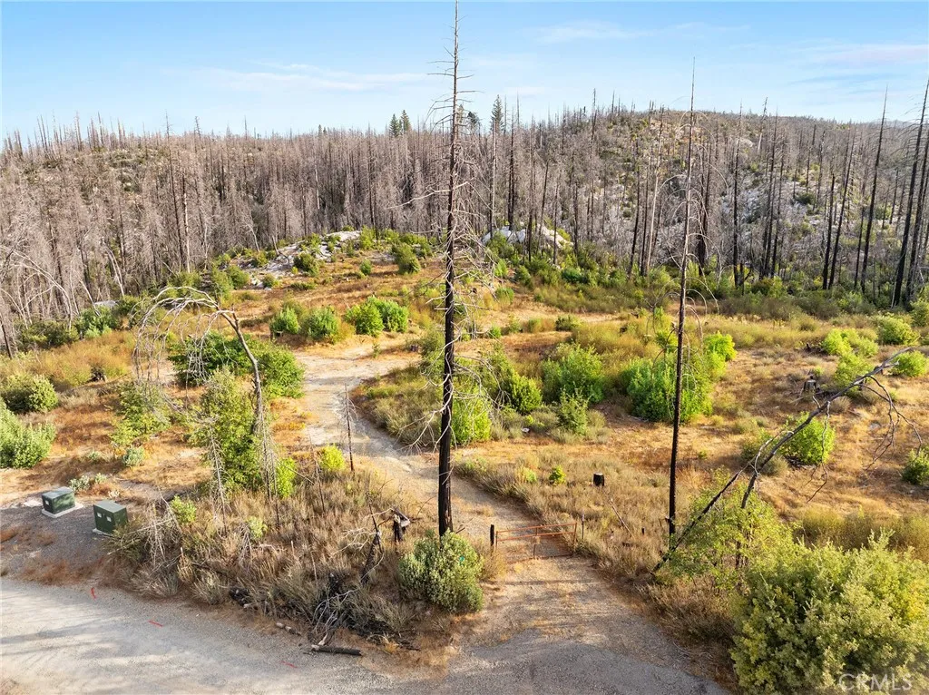 0 Gamble Road Berry Creek, CA 95916 - Photo 2 of 27 a view of a backyard of the house