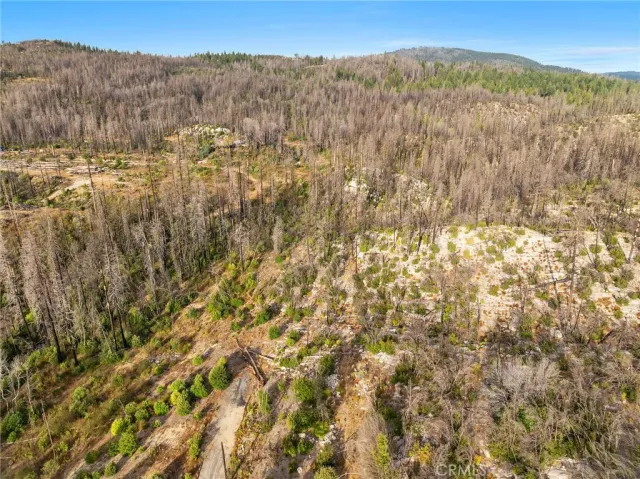 $75,000 | 0 Gamble Road, Berry Creek, CA 95916