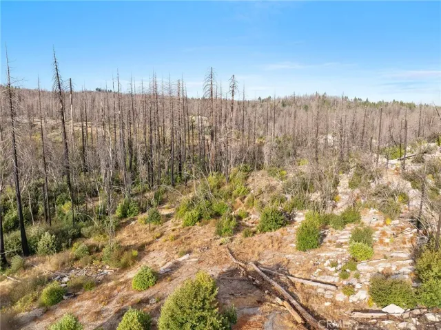 $75,000 | 0 Gamble Road, Berry Creek, CA 95916