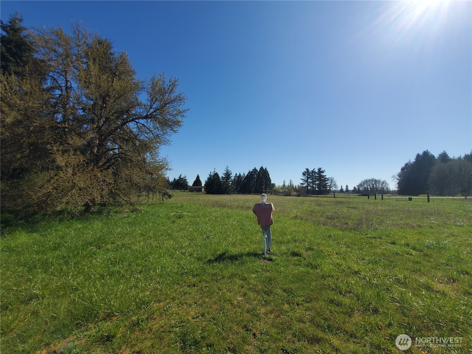 4924 165th Lane Southwest Rochester, WA 98579 - Photo 20 of 27 a view of a outdoor space