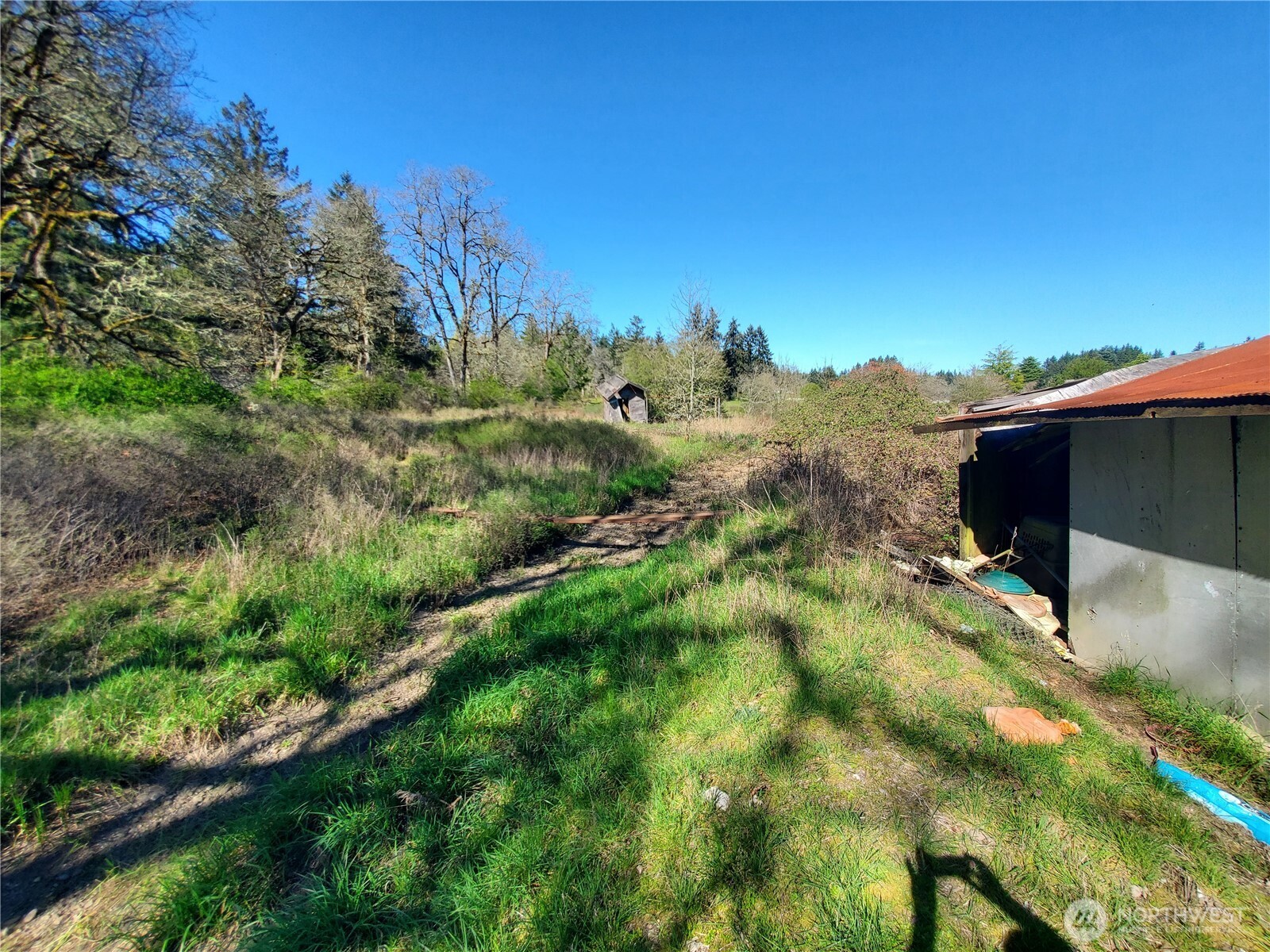 4924 165th Lane Southwest Rochester, WA 98579 - Photo 22 of 27 a view of a yard with plants and a bench