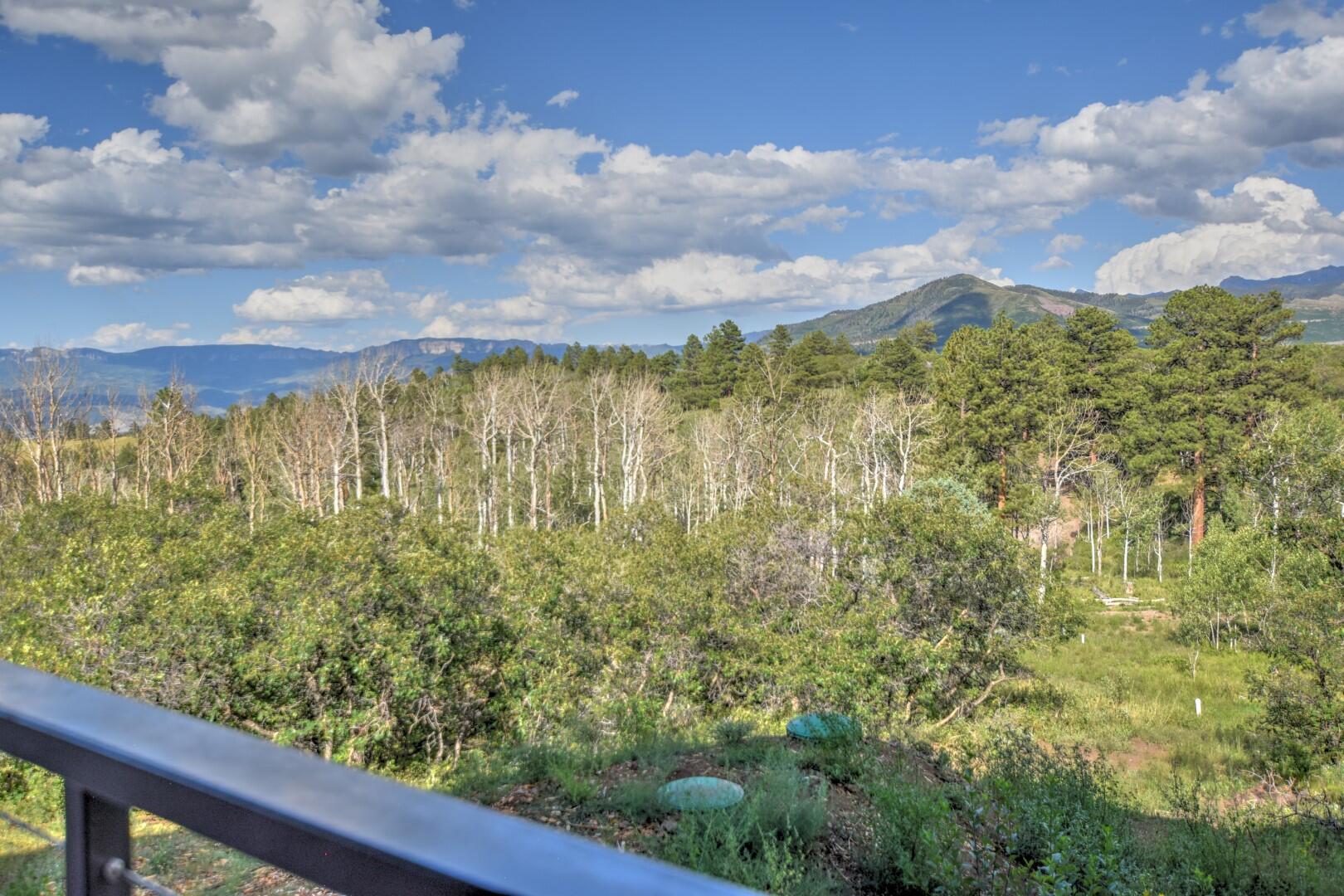 10 Valley View Road Ridgway, CO 81432 - Photo 26 of 33 a view of a garden